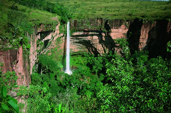 Pantanal North: A glimpse of Amazon